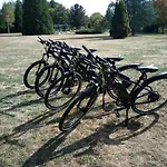 A L'oree Du Parc