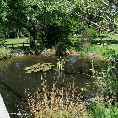 Bed and Breakfast A L'oree Du Parc Saint-Priest-des-Champs